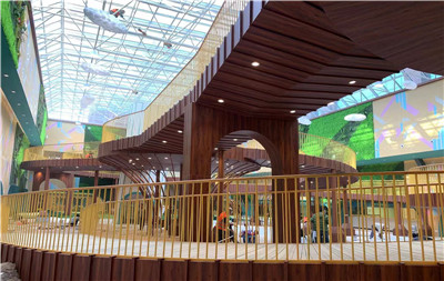 遼寧中興沈陽商業(yè)大廈兒童樂園改造項目