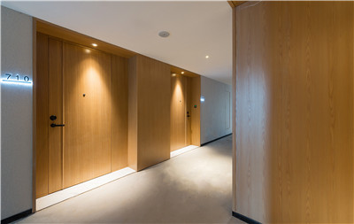 湖南延年電大酒店墻面裝飾案例