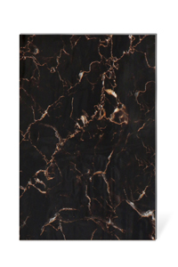 SF453-S黑網(wǎng)-Imperal-Potrow(正面）1