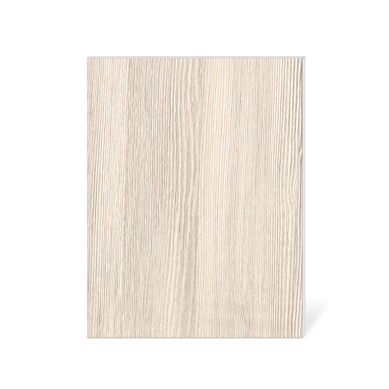 原觸感銀白落葉松